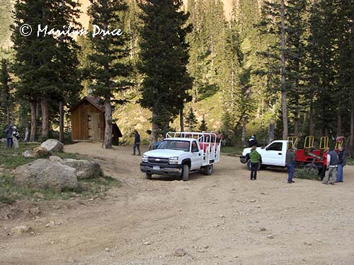 Potty break, Corkscrew Gulch, near Ouray, CO