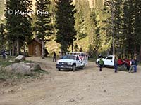 Potty break, Corkscrew Gulch, near Ouray, CO
