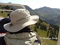 Marilyn looks at the scenery, Corkscrew Pass, near Ouray, CO