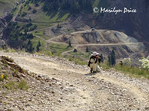 Marilyn shoots wildflowers and mountains, near Ouray, CO