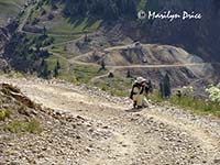 Marilyn shoots wildflowers and mountains, near Ouray, CO