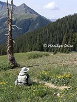 Marilyn shoots wildflowers and mountains, near Ouray, CO