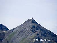 A weathered sign on top of a mountain, near Ouray, CO