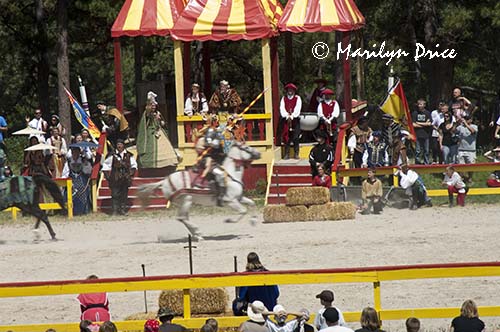 All suited up for the joust, Colorado Renaissance Festival, Larkspur, CO