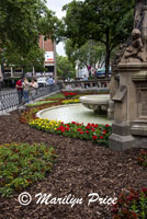 Fountain and flowers, Cologne, Germany
