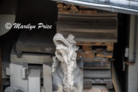 Details of stone carvers work for Cologne Cathedral, Cologne, Germany