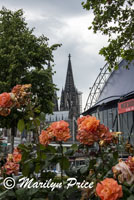 Cologne Cathedral from riverfront, Cologne, Germany