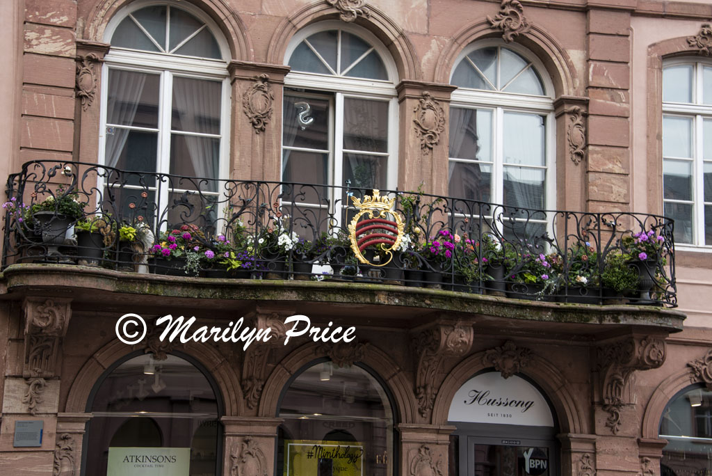 Flowers on a balcony, Mainz, Germany