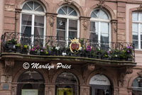 Flowers on a balcony, Mainz, Germany