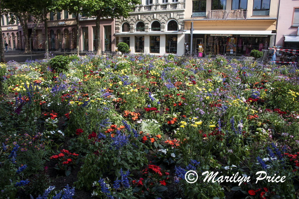 Garden area of the cathedral cloister, Mainz, Germany