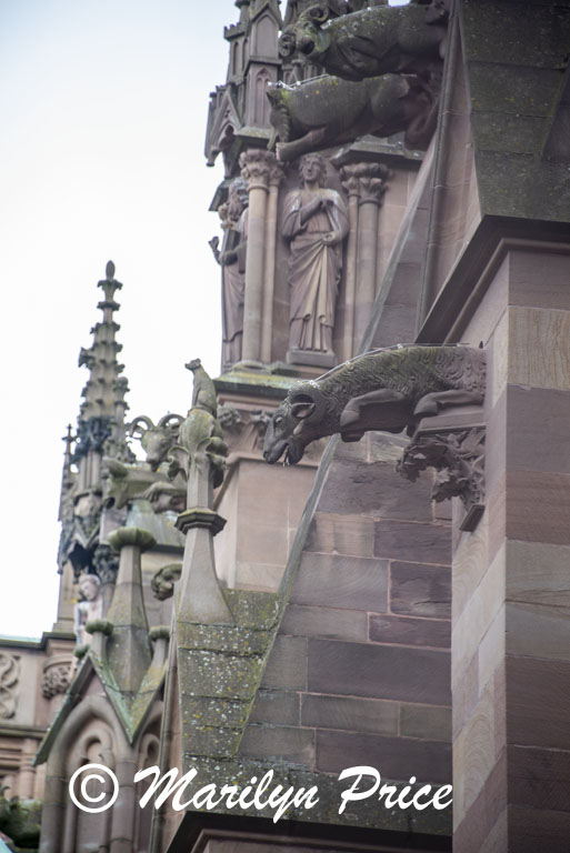 Dripping gargoyle, Strasbourg, France