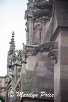 Dripping gargoyle, Strasbourg, France