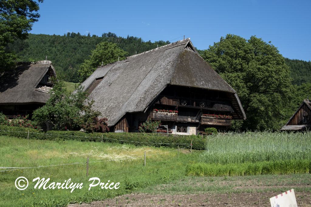 Farmhouse, Open Air Museum, Black Forest, Germany