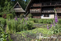 Kitchen garden for the farmhouse, Open Air Museum, Black Forest, Germany