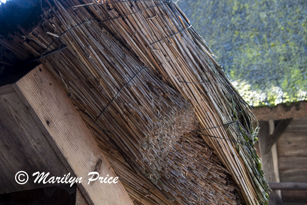 Detail of thatch roofing, Open Air Museum, Black Forest, Germany