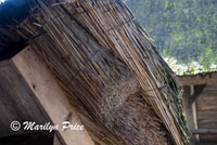 Detail of thatch roofing, Open Air Museum, Black Forest, Germany