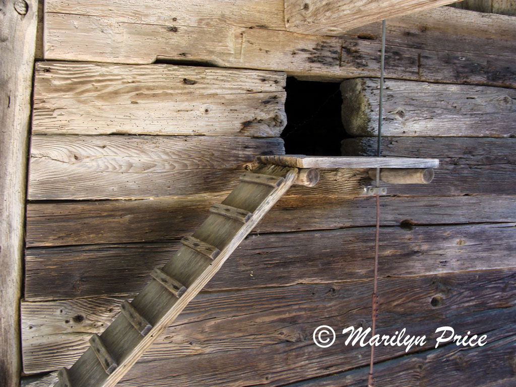 Cat door into the stable area of the farmhouse, Open Air Museum, Black Forest, Germany