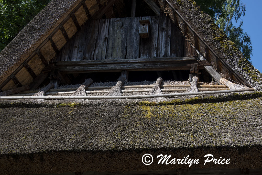 Detail of fancy thatched roof of the storehouse, Open Air Museum, Black Forest, Germany