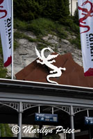 Train station and dragon, Mt. Pilatus, Switzerland