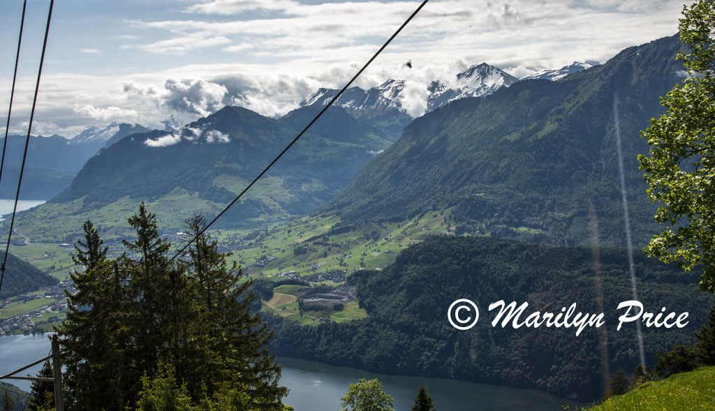 Looking out the back window of the cog railroad, Mt. Pilatus, Switzerland