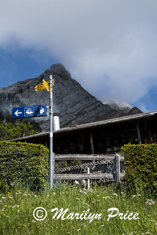 Way station on the cog railroad, Mt. Pilatus, Switzerland