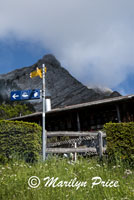 Way station on the cog railroad, Mt. Pilatus, Switzerland
