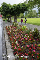 Gardens in a park, Interlaken, Switzerland