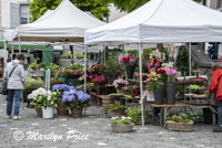 Market Day, Lucerne, Switzerland