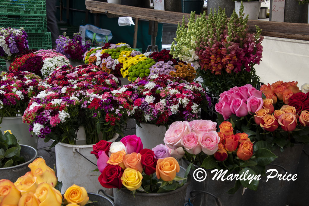 Flowers, Market Day, Lucerne, Switzerland