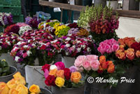 Flowers, Market Day, Lucerne, Switzerland