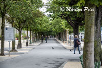 Promenade near the lake front, Lucerne, Switzerland