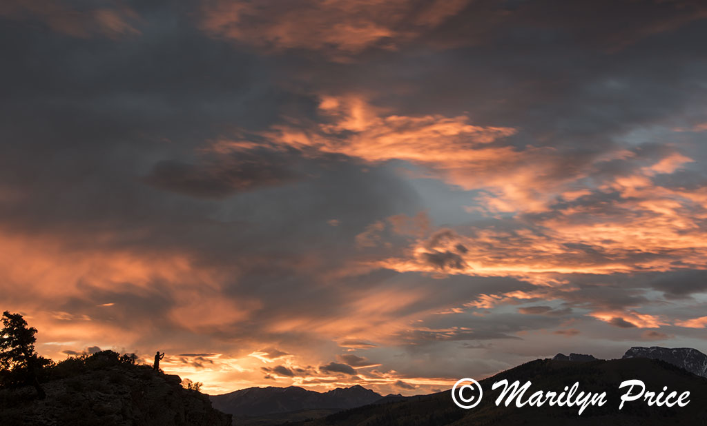 Sunrise over the Sneffels Range, Dallas Divide, San Juan Mountains, CO
