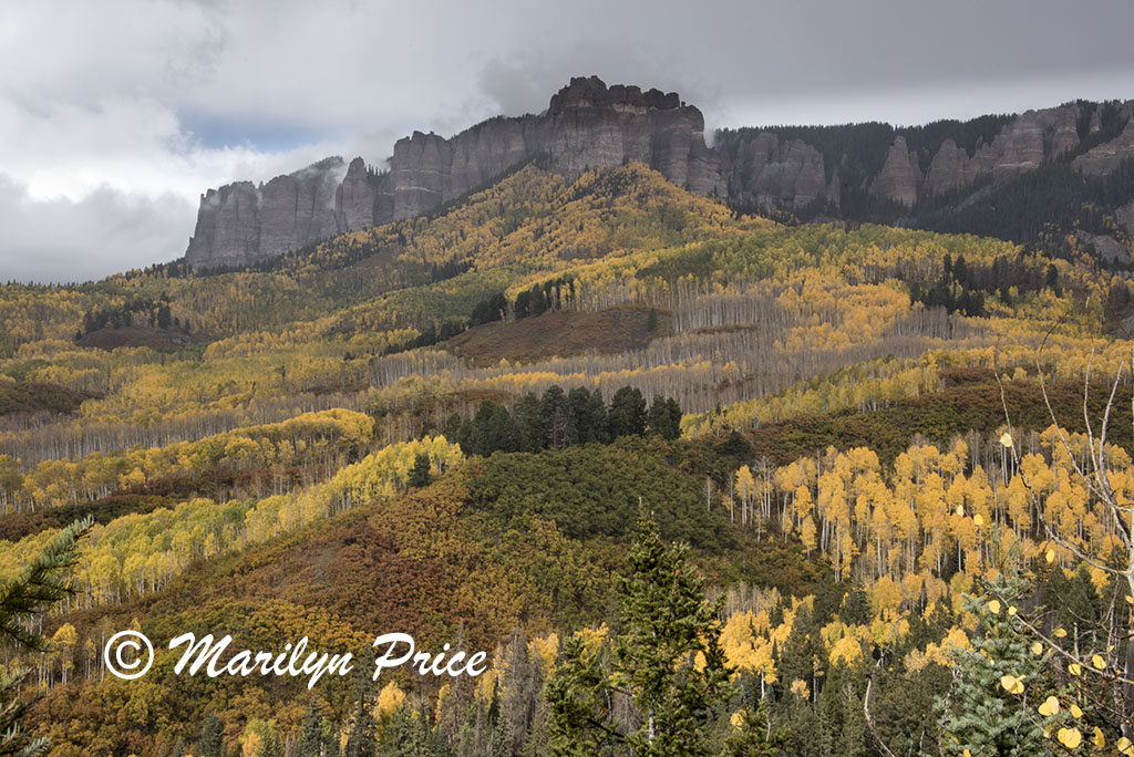 Autumn aspen and rocky ridge, Owl Creek Pass, San Juan Mountains, CO