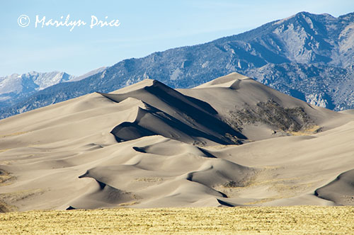 The dunefield and the Sangre de Cristo Mountains, Great Sand Dunes National Park, CO