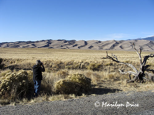 The dunefield and the Sangre de Cristo Mountains, Great Sand Dunes National Park, CO