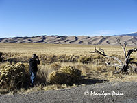Marilyn shoots the dunes, Great Sand Dunes National Park, CO