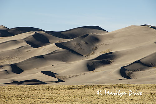 The dunefield, Great Sand Dunes National Park, CO