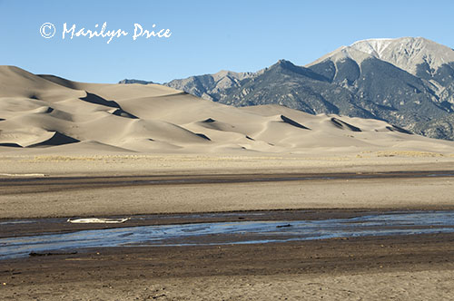 The dunefield and the Sangre de Cristo Mountains with Medano Creek, Great Sand Dunes National Park, CO