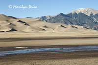 The dunefield and the Sangre de Cristo Mountains with Medano Creek, Great Sand Dunes National Park, CO