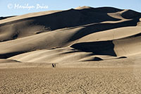 Visitors are dwarfed by the dunes, Great Sand Dunes National Park, CO