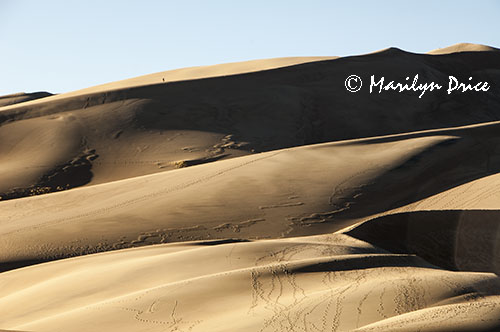 Dunes and shadows, Great Sand Dunes National Park, CO