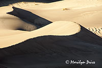 Dunes and shadows, Great Sand Dunes National Park, CO