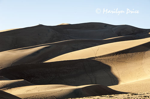 Dunes and shadows, Great Sand Dunes National Park, CO