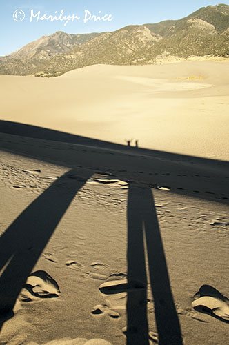 Carl and Marilyn's shadows, Great Sand Dunes National Park, CO