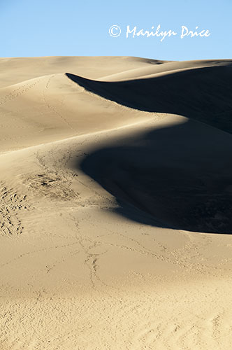 Dunes and shadows, Great Sand Dunes National Park, CO