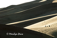Dunes and shadows, Great Sand Dunes National Park, CO