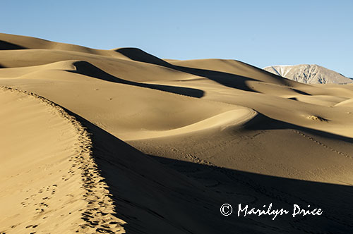 Dunes and shadows and footprints along the ridge of a dune, Great Sand Dunes National Park, CO