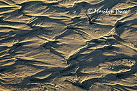 Ripples in Medano Creek, Great Sand Dunes National Park, CO