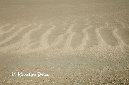 Patterns of different colors of sand, Great Sand Dunes National Park, CO