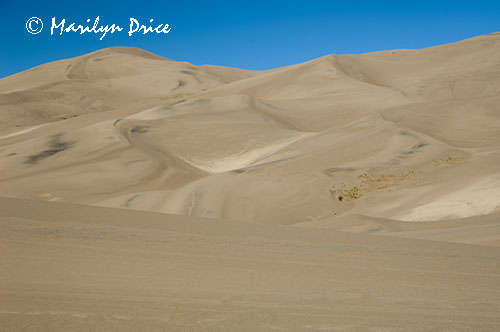 Different colors of sand in the dunes, Great Sand Dunes National Park, CO
